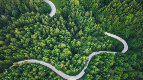 From Pilots to Systemic Shifts, Building Bold Pathways