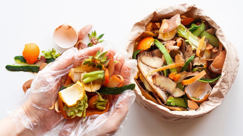 Closing the Loop: From Waste to Wealth—Asia’s Food Circularity Playbook