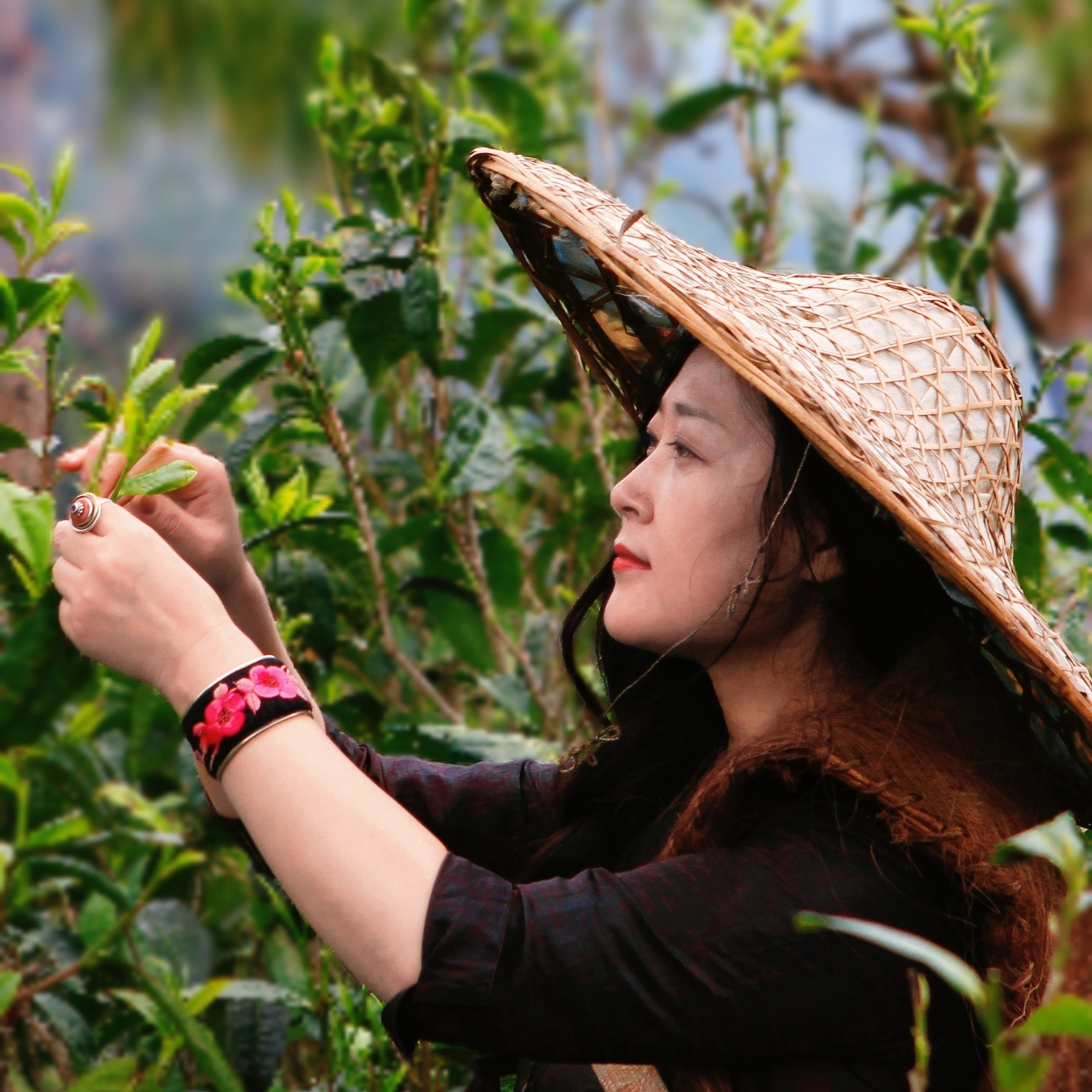 Awakening Aesthetic Sense: Crafting a Tea Space of Harmony