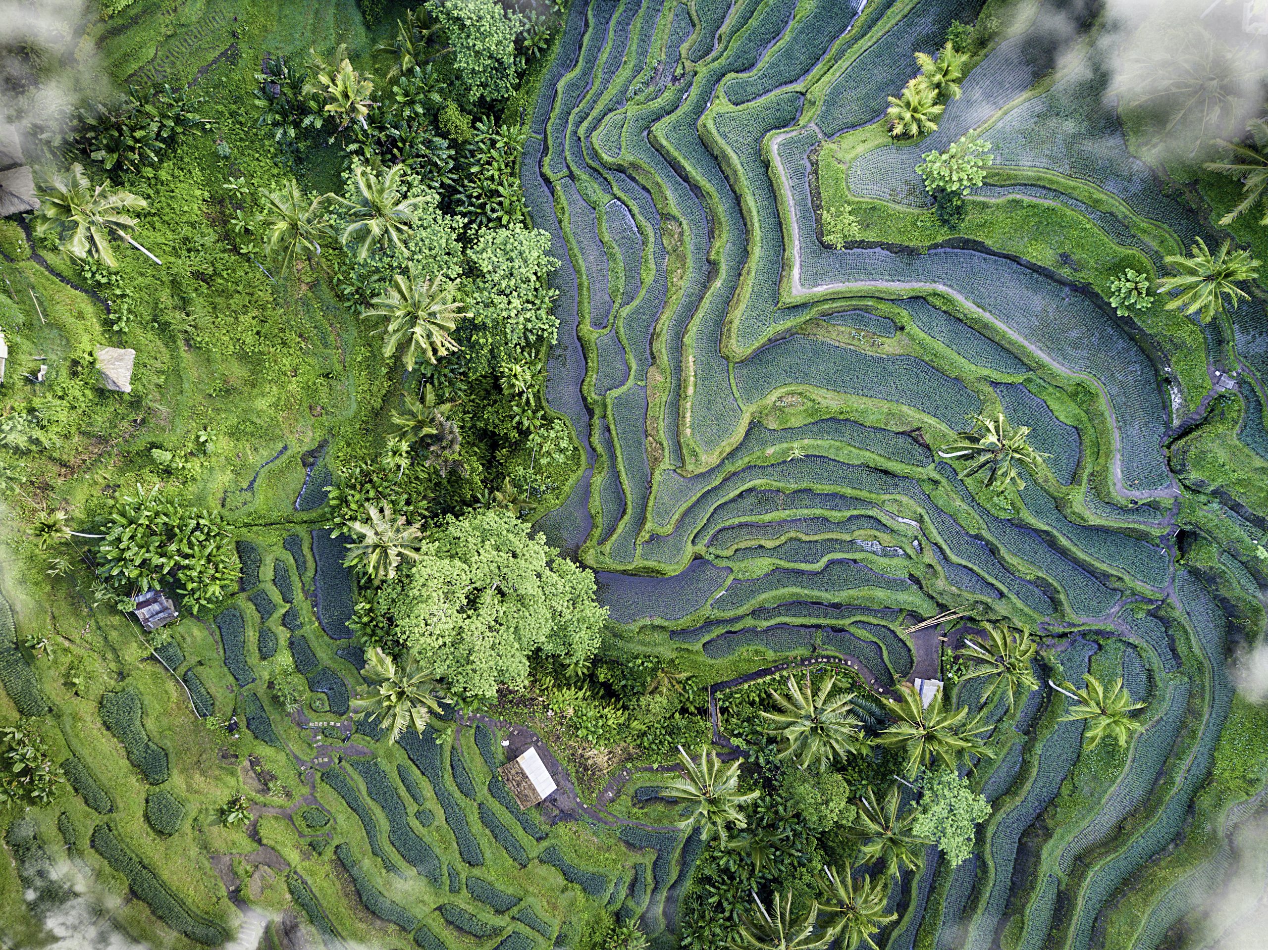 Climate Change & Natural Ecosystems