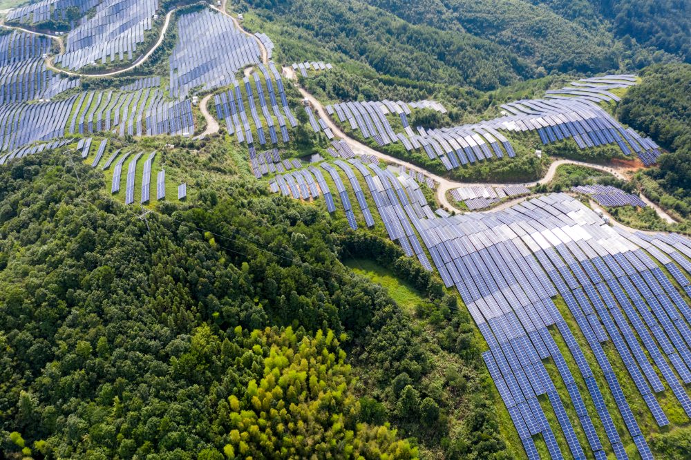 Low Carbon & Energy Transition