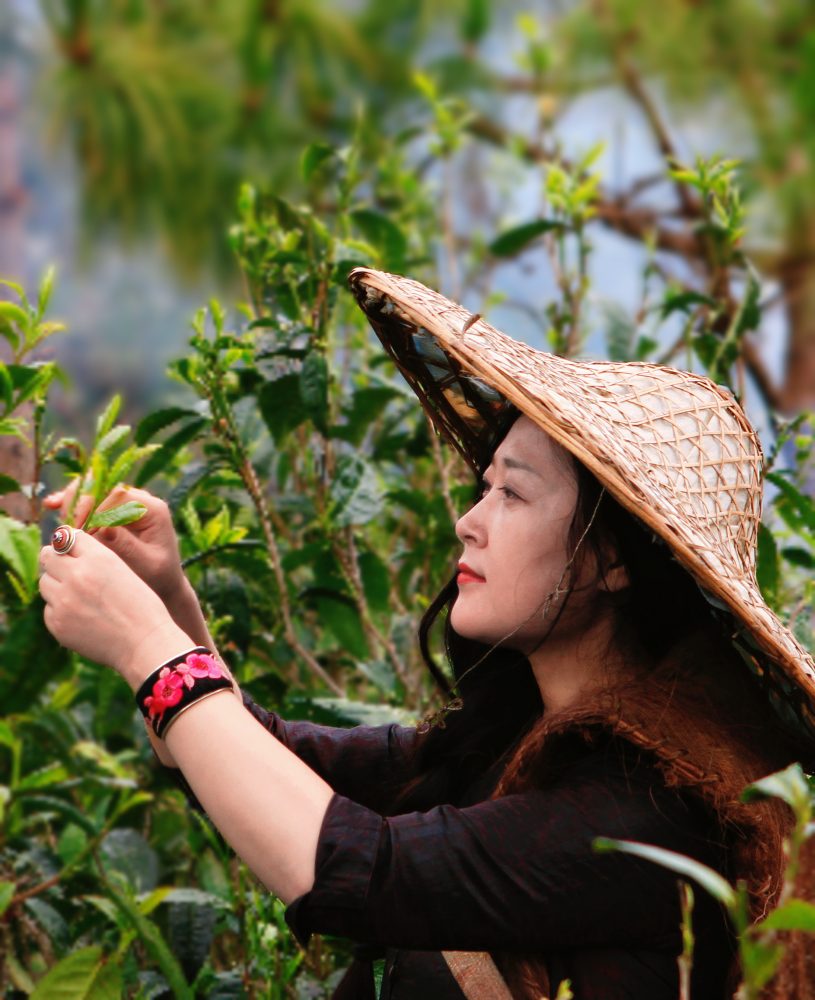 点醒美学｜布一方天地茶席