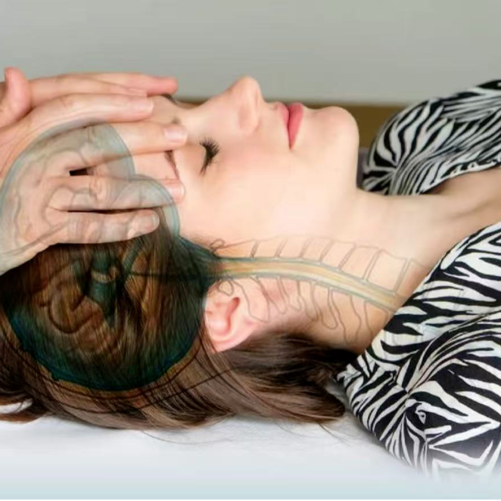 Craniosacral Therapy (Private Session)